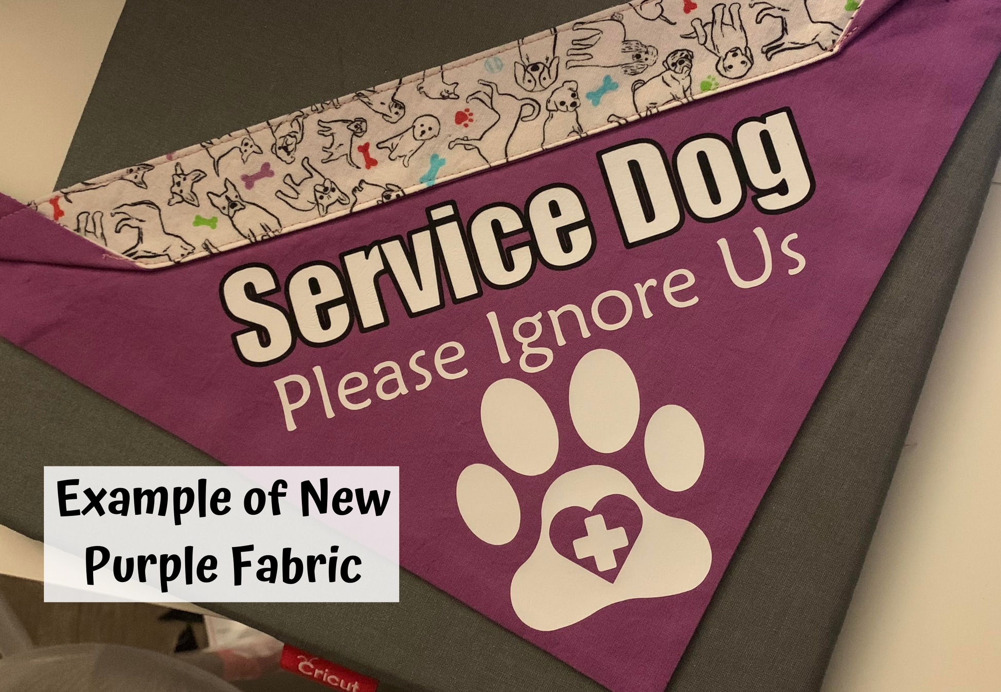 A purple bandana is shown on a grey square. The bandana has the new fabric contrast pocket at the top and has the Ignore Us Paw design. The paw and plus are all white on a purple bandana. A box says Example of New Purple Fabric, purple is not shown in other photos because it is a new addition.