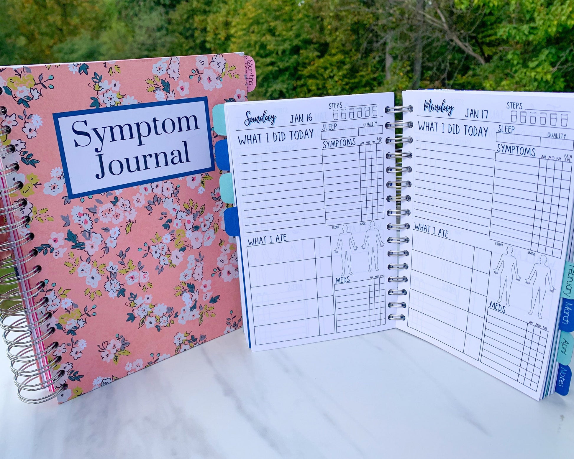 2 spiral bound books are standing up on a marble surface. The larger one is closed and has a pink floral cover with a blue outlined label that says Symptom Journal. The other is open showing the interior pages. It has alternating light and dark blue tabs that are labeled with months. The page has several section and the titles have a blue shadow. 