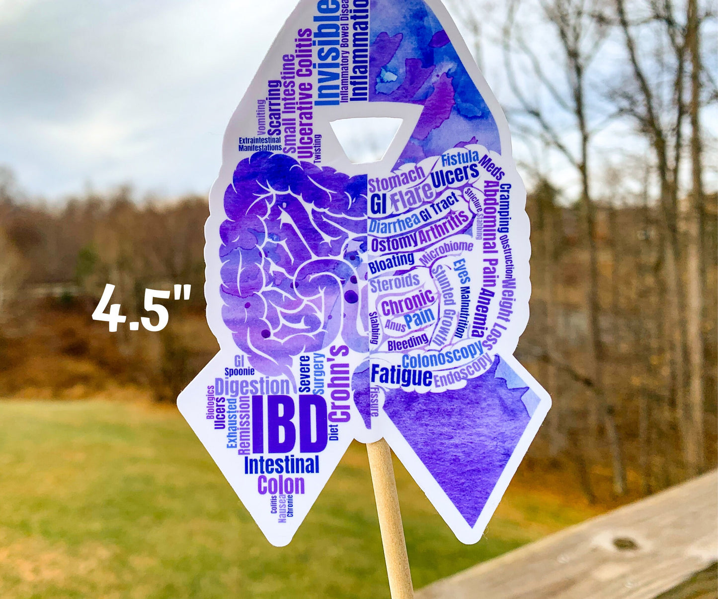 A close up of the 4.5 in word cloud ribbon is shown. You can see the words clearly in matching shades of purple. The words are things like Crohn's, Ulcerative Colitis, Flare, Ostomy, Fatigue, Digestion, Colon, Scarring, Anemia, Cramping, Weight Loss, and more.