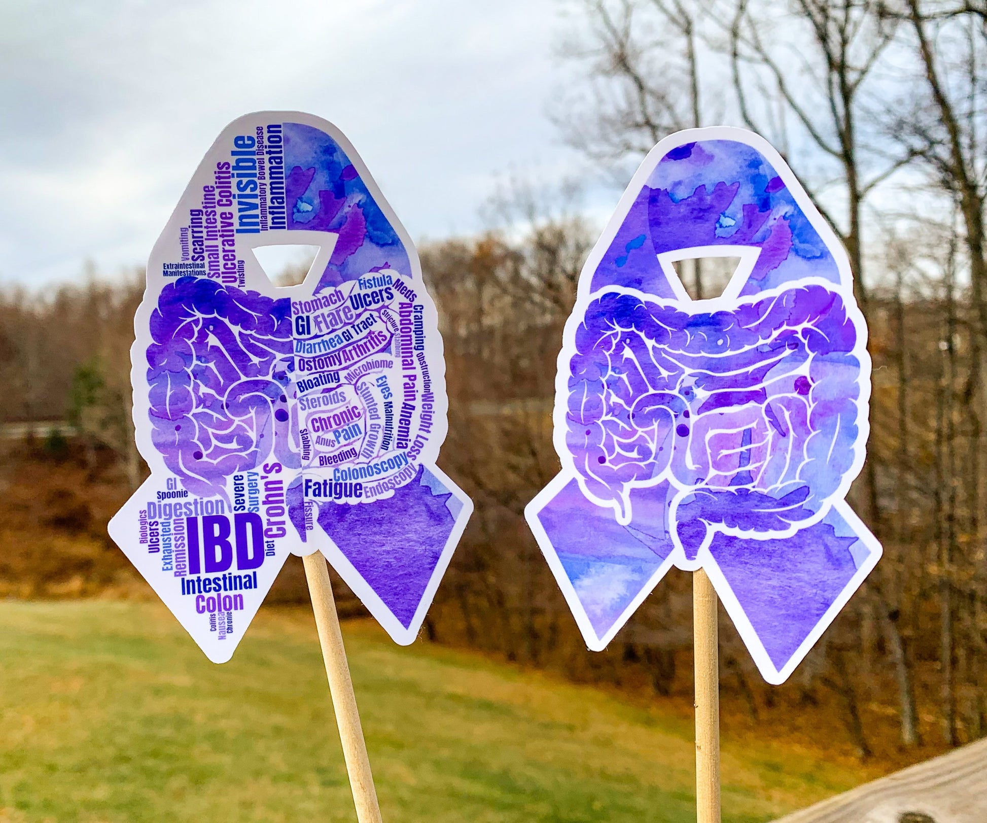 The word cloud and watercolor designs are shown on 2 sticks. Both ribbons feature a purple color awareness ribbon with intestines in the center. The word cloud design on the left is split in half with a word cloud on the left half of the ribbon and right half of the intestines.