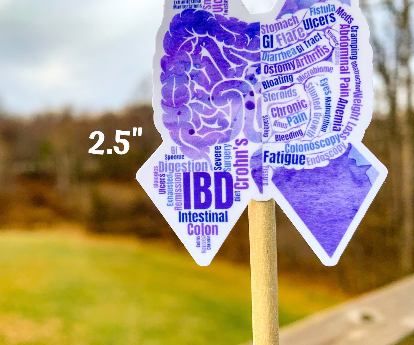 A close up of the 2.5 in word cloud ribbon is shown. You can see the words clearly in matching shades of purple. The words are things like Spoonie, IBD, Ulcers, Biologics, Steroids, Bloating, Arthrtis, Ostomy, Stunted Growth, Anus, Bleeding, Colonoscopy, Obstruction, GI Tract, Diet, Extraintestinal Manifestations, and more.